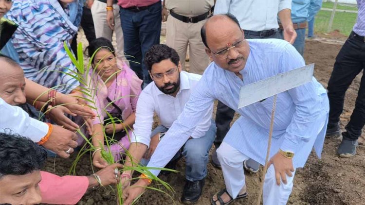 कलेक्टर ने ‘‘एक पेड़ मां के नाम’’ अभियान का जिले में पौधारोपण कर किया शुभारंभ