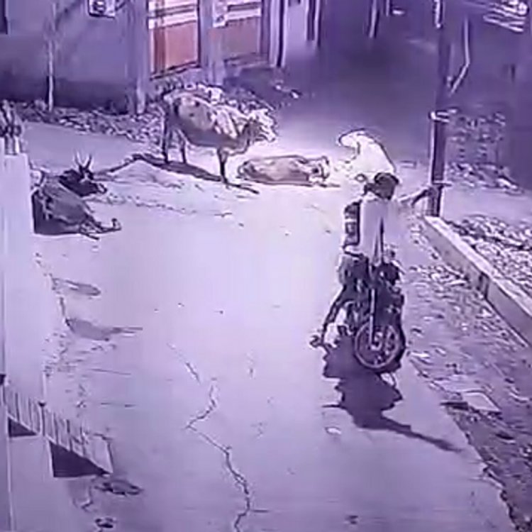 उज्जैन में बदमाशों ने लहराई पिस्टल, VIDEO वायरल:पंवासा में बीच सड़क बाइकर रोक कर देने लगे गालियां, पुलिस बोली-वीडियो की पुष्टि के बाद करेंगे कार्रवाई