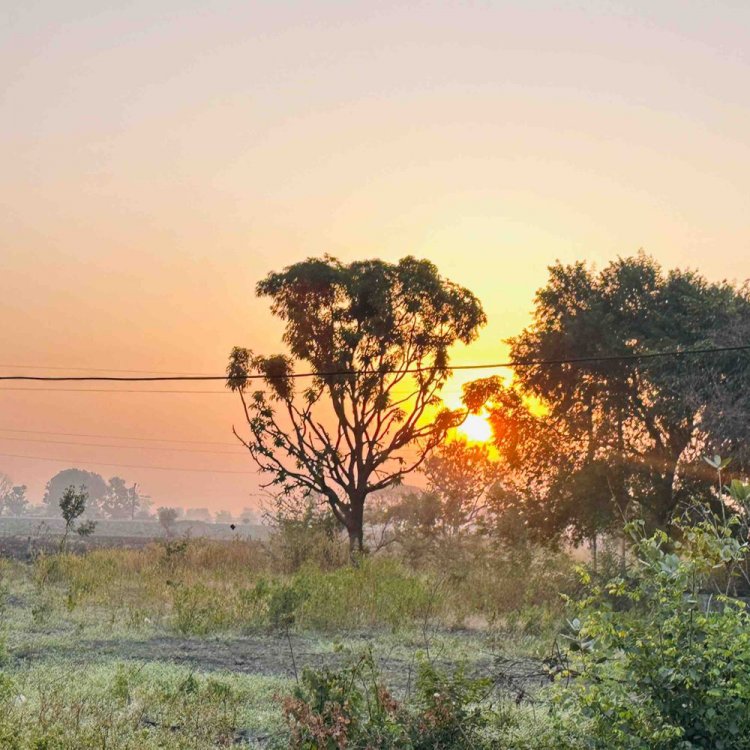 मंदसौर में दिसंबर अंत तक बारिश के आसार:पूर्वी और पश्चिमी दोनों हिस्सों में होगी बूंदाबांदी; कड़ाके की ठंड फिर लौटकर आएगी