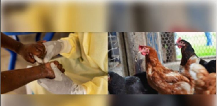 इस साल मंकीपॉक्स, बर्ड फ्लू से लेकर कोरोना के नए वेरिएंट्स ने किया परेशान