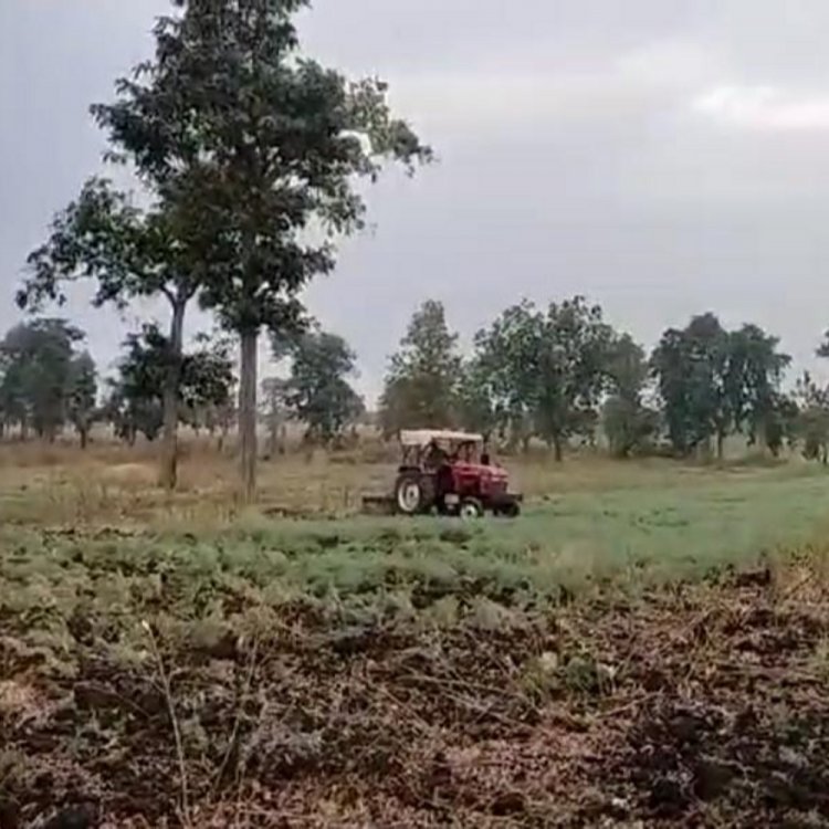 आमाखुजरी के जंगल में फिर पहुंचा वन विभाग अमला:700 हेक्टेयर में कब्जा हटाने 40 जेसीबी, कंटूर ट्रेंच पद्धति से फसल रौंदने 10 ट्रैक्टर लाए