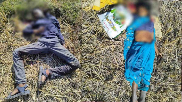 छत्तीसगढ़ में ट्रिपल मर्डर : पत्रकार के मां, पिता और भाई की बेरहमी से हत्या, खूनी खेल से सहमा इलाका.