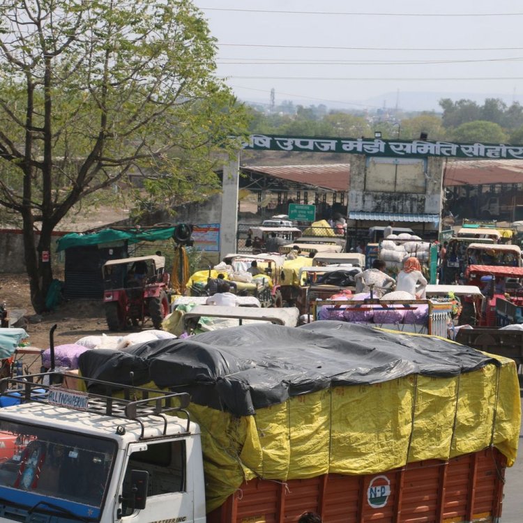 गेहूं उपार्जन में किसानों को दिक्कत:सीहोर में धीमी गिरदावरी से अटका पंजीयन, 31 मार्च तक है मौका