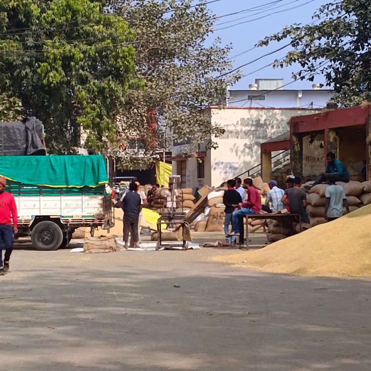 धार मंडी में 14 से 16 मार्च तक नीलामी बंद:एक दिन में 15 हजार बोरी गेहूं की आवक; तीन दिनों में 45 हजार बोरियां पहुंचीं