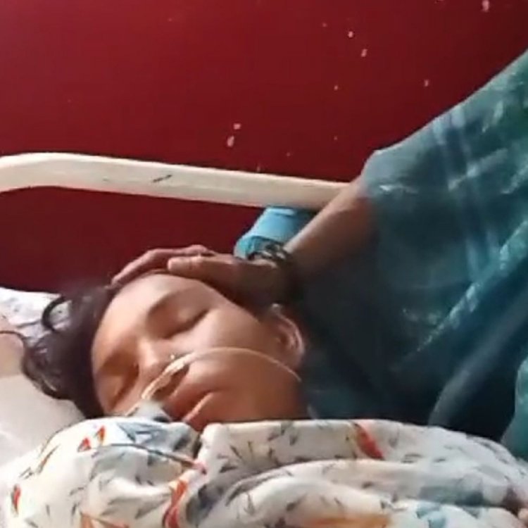 बारातियों पर मधुमक्खियों का हमला:बुरहानपुर के निंबोला में 15 लोग घायल, एक महिला की हालत गंभीर
